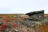 JOSH PEARLMAN / FILES
                                Manitoba’s environment is also feeling the government austerity pinch.