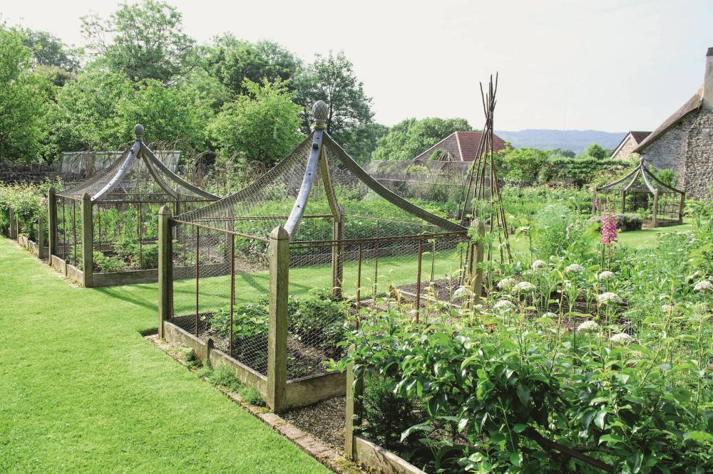 Garden structures like these beautiful wooden fruit cages that keep birds out are featured in Claus Dalby’s new book.