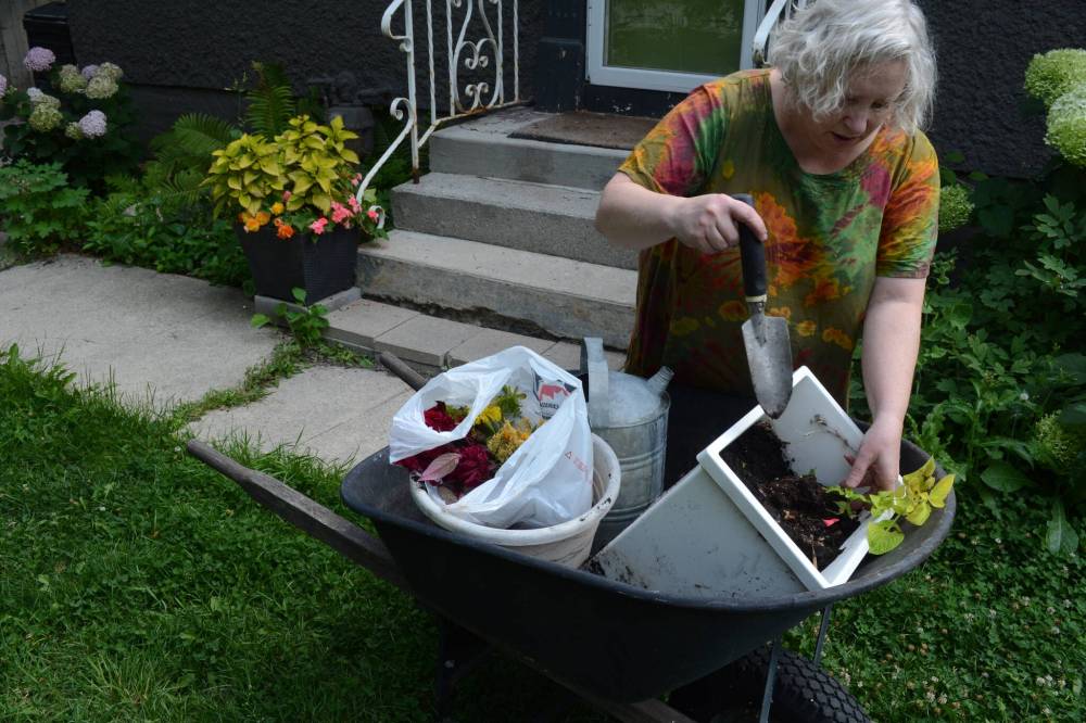 SUPPLIED
Dawna Smith planted flowers in the potholes on her street. Within a couple of days, the city was filling them in.