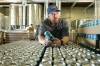 RUTH BONNEVILLE / WINNIPEG FREE PRESS FILES
                                Matt Wolff, Torque Brewing&rsquo;s operations manager