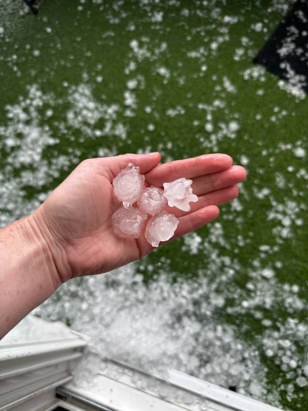 TANYA LIAHUSA PHOTO
Golf-ball sized hail is seen in North Kildonan after the storm.