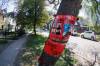 MIKE DEAL / WINNIPEG FREE PRESS
                                A memorial, for Cory Roger Roullete, 38, is taped to the tree outside the building where he was killed on 583 Furby Street.