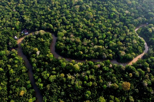 FILE - Forest lines the Combu creek, on Combu Island on the banks of the Guama River, near the city of Belem, Para state, Brazil, Aug. 6, 2023. The two-day Amazon Summit opens Tuesday, Aug. 8, 2023, in Belem, where Brazil hosts policymakers and others to discuss how to tackle the immense challenges of protecting the Amazon and stemming the worst of climate change. (AP Photo/Eraldo Peres)