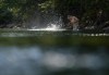 A person cools off in Lynn Creek in North Vancouver, B.C., on Thursday, July 6, 2023. Health authorities as well as local and provincial governments across British Columbia are providing guidance on how best to deal with a sweltering heat wave that began in British Columbia's southern coast this weekend is expected to expand into the Interior starting today.THE CANADIAN PRESS/Darryl Dyck