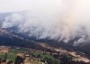 Smoke pours out from the trees as the Okanagan Mountain Park forest fire burned above the City of Kelowna, B.C., Sunday, Aug. 24, 2003. As B.C. is in the grips of a record-breaking 2023 wildfire season, the 20 year anniversary of Kelowna's firestorm year drums up mixed emotions for those who lived through it, and offers lessons in the present, they say. THE CANADIAN PRESS/Chuck Stoody