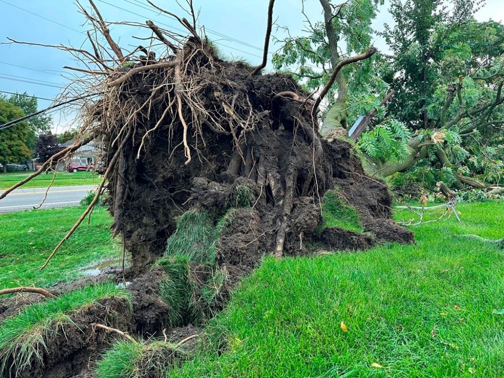 A tree is uprooted outside a home on Friday, Aug. 25, 2023, in Canton Township, Mich. A strong storm powered by winds of up to 75 mph (121 kph) in Michigan downed trees, tore roofs off buildings and left hundreds of thousands of customers without power. (AP Photo/Mike Householder)