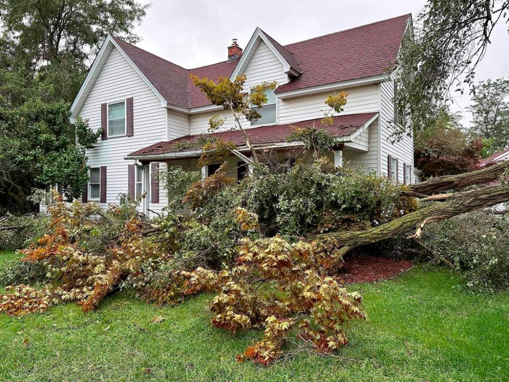 A tree is uprooted outside a home on Friday, Aug. 25, 2023, in Canton Township, Mich. A strong storm powered by winds of up to 75 mph (121 kph) in Michigan downed trees, tore roofs off buildings and left hundreds of thousands of customers without power. (AP Photo/Mike Householder)