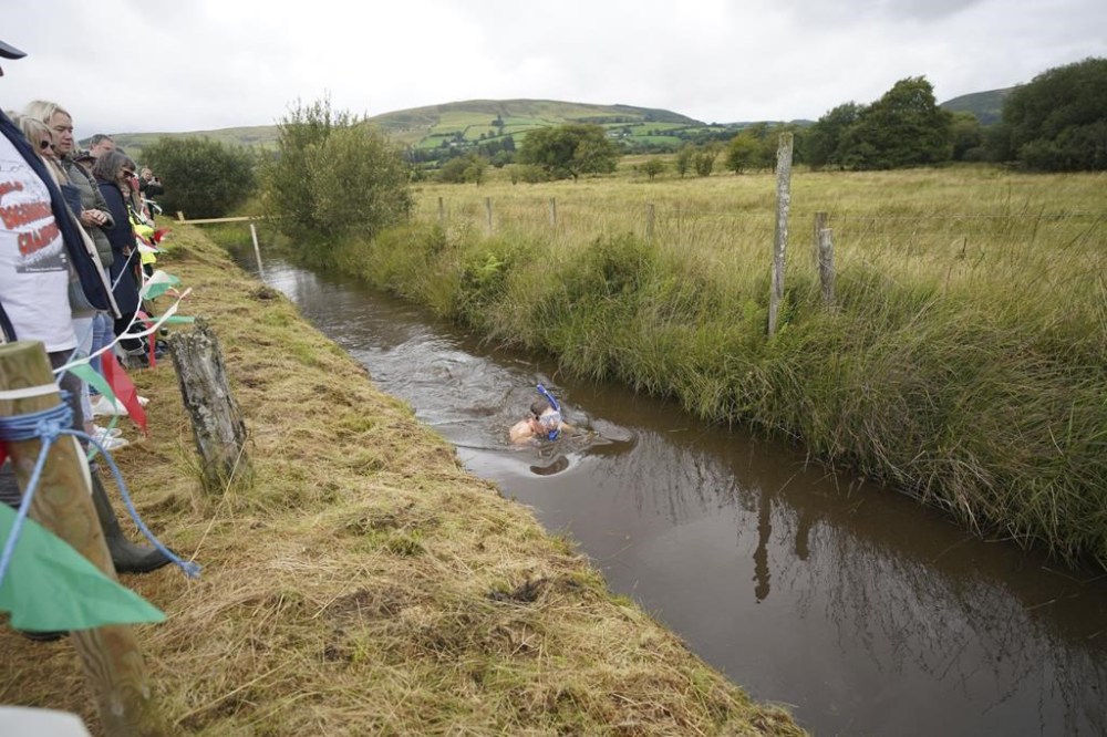 Competitors take part in the Rude Health World Bog Snorkelling Championships at Waen Rhydd peat bog in Llanwrtyd Wells, Wales, Sunday, Aug, 27, 2023. Bog snorkelling is a sporting event where competitors aim to complete two consecutive lengths of a 60 yards water-filled trench cut through a peat bog in the shortest time possible, wearing traditional snorkel, diving mask and flippers. (Ben Birchall/PA via AP)