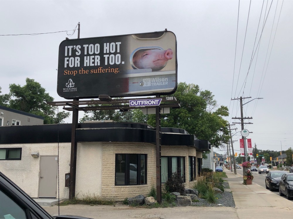 RUTH BONNEVILLE / WINNIPEG FREE PRESS
The Winnipeg Humane Society has erected eight billboards across the city dedicated to their Stop the Suffering campaign.