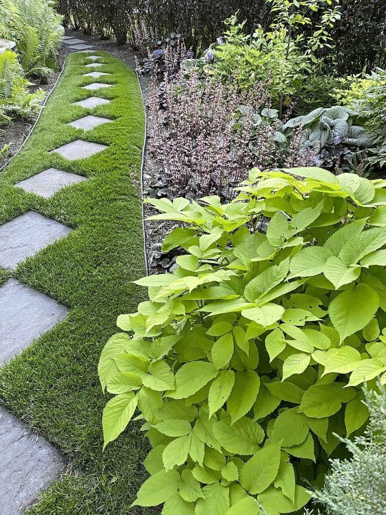 Anne Peters' checkerboard pathway. (Supplied)