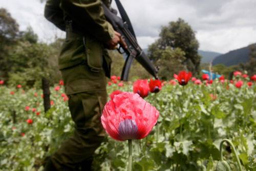 John Moore / The Associated Press files
                                The power wielded by women in the drug trade in Mexico, Colombia and elsewhere has long been overlooked; most coverage rarely goes beyond the wives and girlfriends of narcos.