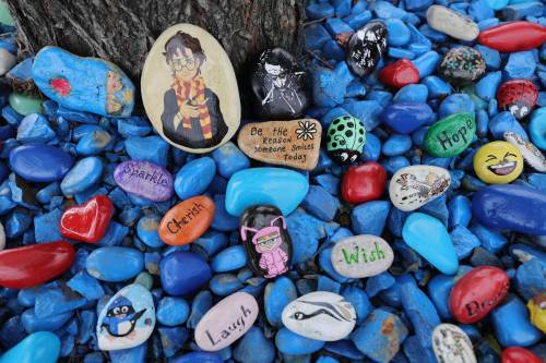 Rocks around the block