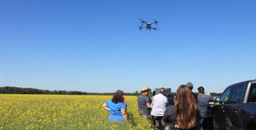 SUPPLIED
                                A drone demonstration takes place at Innovation Farms in July. The farm EMILI uses it for testing new agricultural technology.