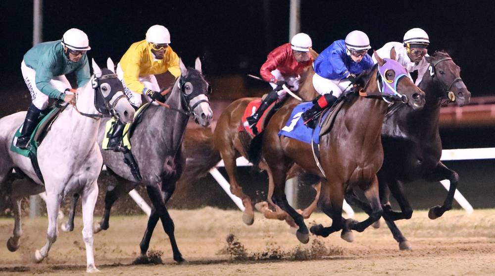 Jason Halstead / Winnipeg Free Press
Jockey Fraser Aebly leads the way on Flying to the Line as Race 6 at Assiniboia Downs got underway Tuesday. Flying to the Line finished fourth in the race.