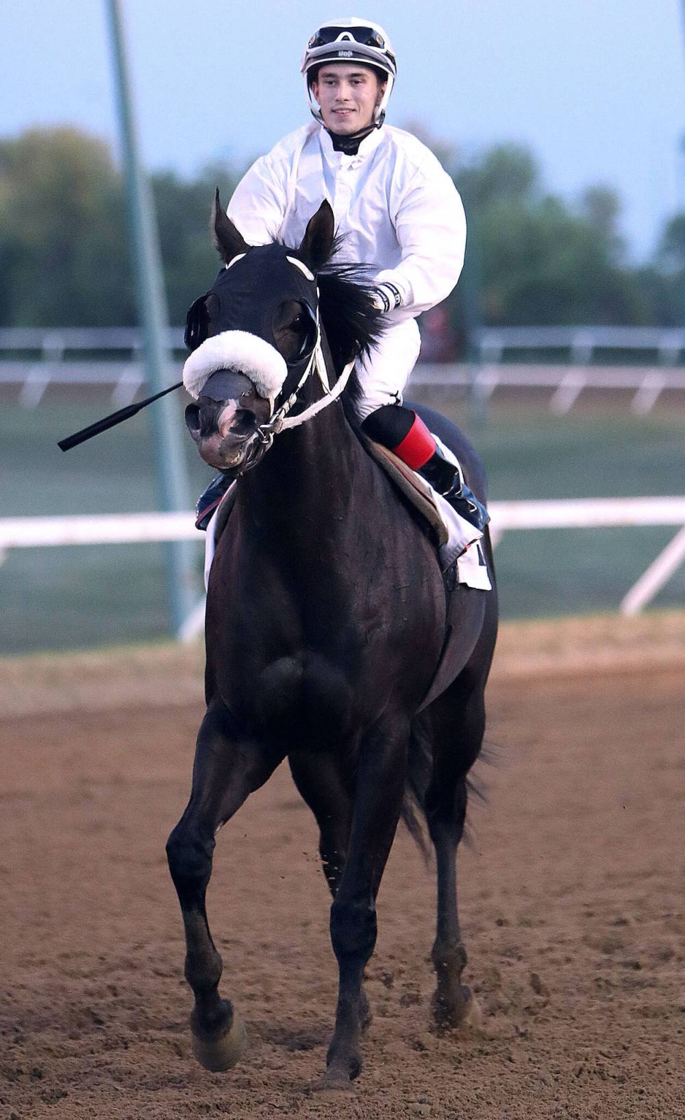 Jason Halstead / Assiniboia Photo
Shootin’ Money was the first of three horses appentice jockey Fraser Aebly rode to victory in consecutive races Monday at Assiniboia Downs.