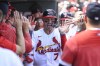 St. Louis Cardinals' Andrew Knizner (7) is congratulated after scoring a run in the third inning of a baseball game against the Philadelphia Phillies, Sunday, Sept. 17, 2023, in St. Louis. (AP Photo/Joe Puetz)