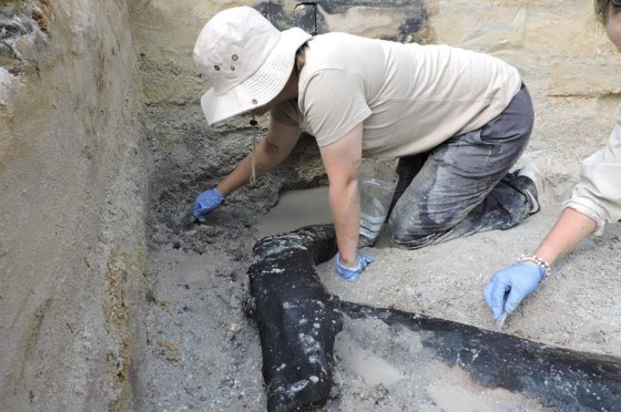 An excavation team uncovers a wooden structure found on a riverbed near a waterfall in Zambia in 2019. (Larry Barham/University of Liverpool via The Associated Press)