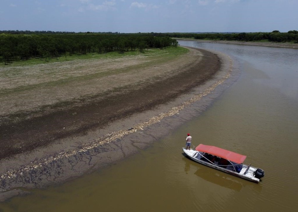 A fisherman stands on his boat as he navigates near thousands of dead fish awash on the banks of Piranha Lake due to a severe drought in the state of Amazonas, in Manacapuru, Brazil, Wednesday, Sept. 27, 2023. (AP Photo/Edmar Barros)