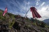 A new StatsCan report says homicides of Indigenous women and girls result in charges of manslaughter instead of murder more often than when the victims were non-Indigenous. Red dresses are seen among the left over debris of a logging cut block in Fairy Creek logging area near Port Renfrew, B.C. Monday, Oct. 4, 2021. THE CANADIAN PRESS/Jonathan Hayward