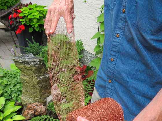 Ken Dunsmore unrolls copper mesh used to deter slugs (Colleen Zacharias / Winnipeg Free Press)