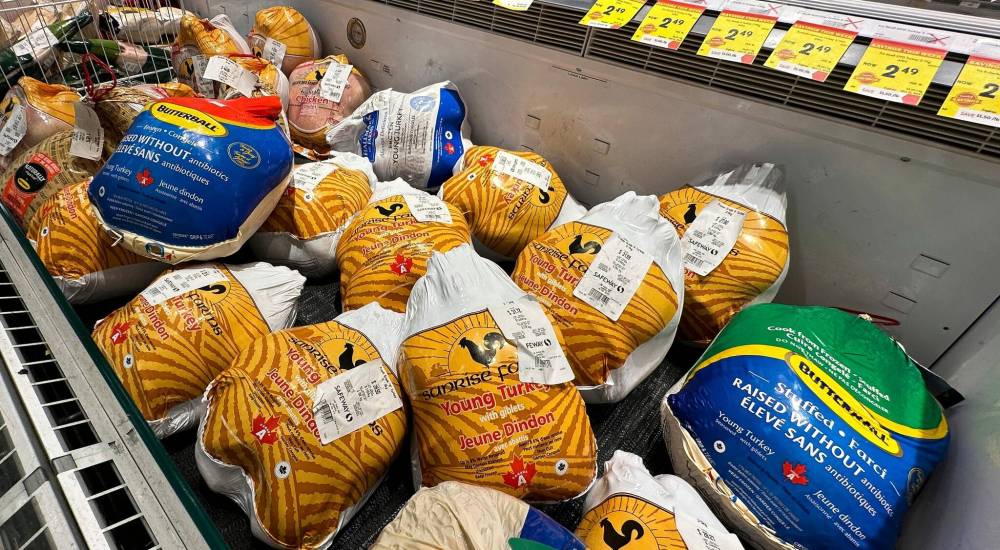 JOHN WOODS / WINNIPEG FREE PRESS
Frozen turkeys are available at an Osbourne Village grocery store Sunday, October 8, 2023. Health Canada issued a recall on Sunrise Fresh Grade “A” Turkey with a best before date of October 11.