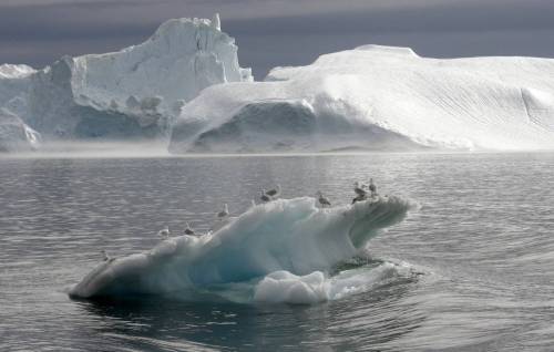 Michael Kappeler / The Associated Press files
                                Greenland&rsquo;s glaciers are melting at an alarming rate, while the Antarctic ice cap is disappearing rapidly.