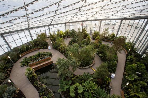 The Leaf opened in Assiniboine Park last December. (Daniel Crump / Winnipeg Free Press files)