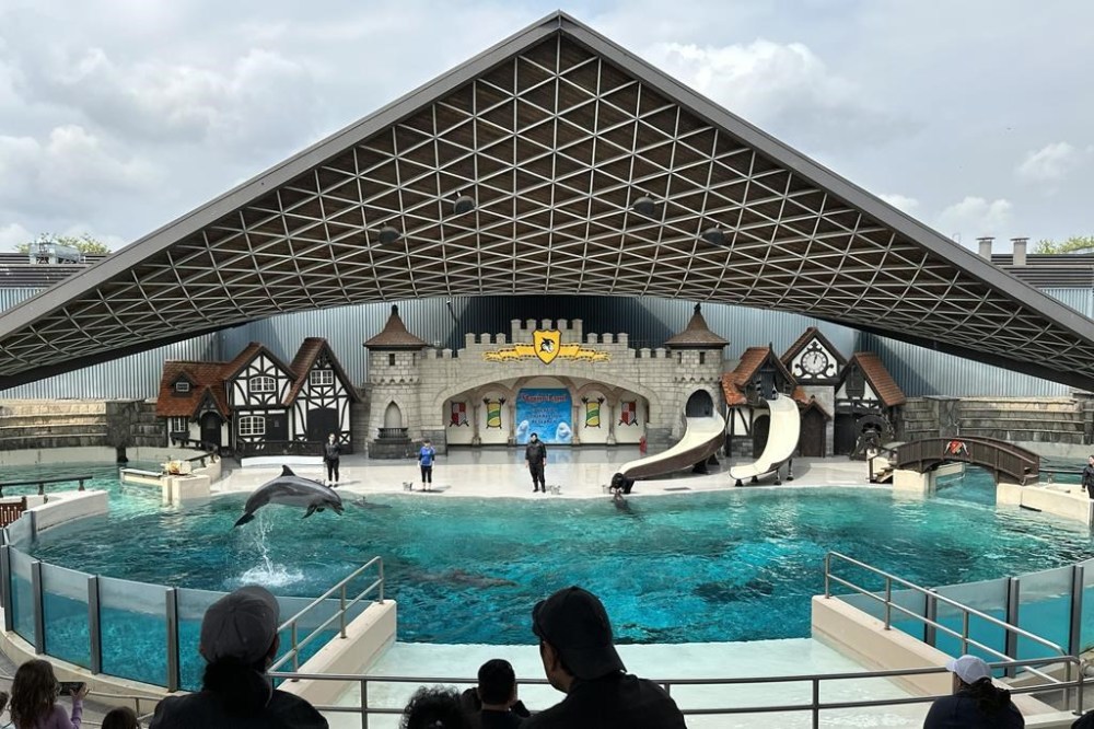 Two months after the deaths of 14 whales and a dolphin at Marineland came to light, Ontario has refused to make public any steps taken to improve animal safety at the park, as critics demand action and transparency. A dolphin jumps out of the water as it performs during a show at Marineland amusement park in Niagara Falls, Ont., Friday, June 9, 2023. THE CANADIAN PRESS/Chris Young