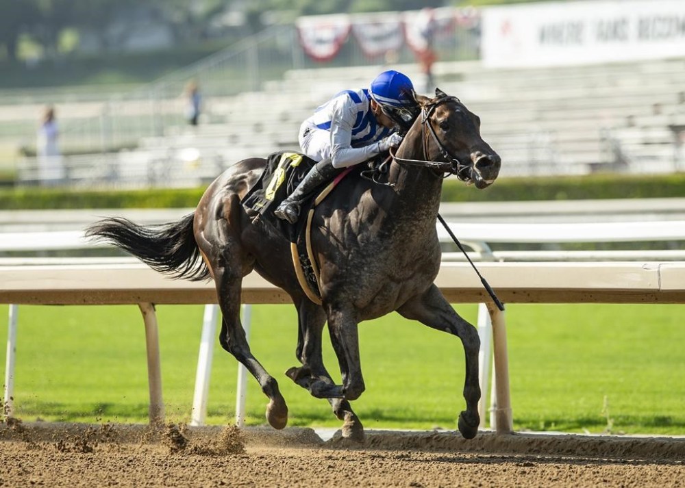 In this image provided by Benoit Photo, Pin Oak Stud's Geaux Rocket Ride, ridden by Ramon Vazquez, cruises to victory in the $100,000 Affirmed Stakes horse race, Sunday, June 4, 2023 at Santa Anita Park, Arcadia, Calif. Breeders’ Cup Classic contender Geaux Rocket Ride was injured during a workout Saturday, Oct. 28, 2023, at Santa Anita. The 3-year-old colt appeared to stumble in mid-stretch and was pulled up by Mike Smith, the Hall of Fame jockey. He jumped off and held Geaux Rocket Ride’s right front leg until help arrived. (Benoit Photo via AP)