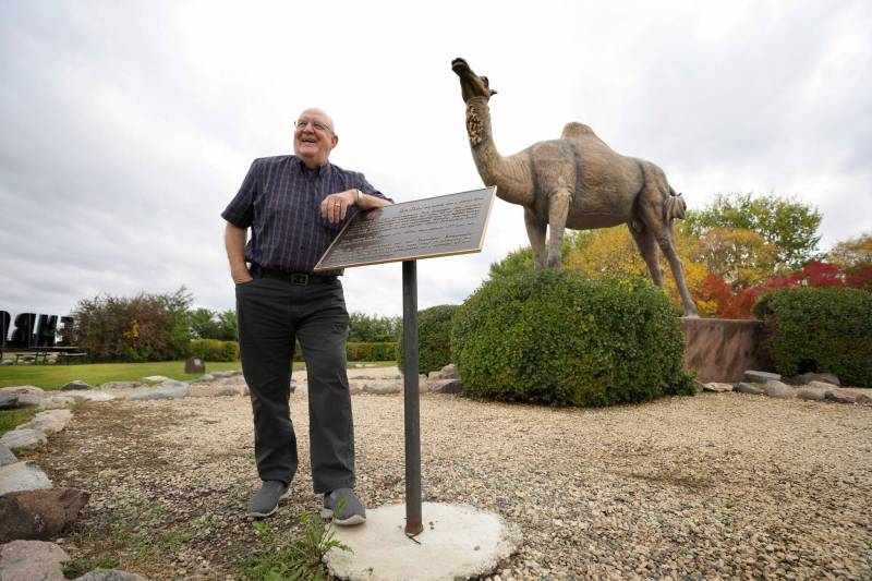 RUTH BONNEVILLE / WINNIPEG FREE PRESS
Former Glenboro mayor Earl Malyon with the village's mascot, Sara the Camel, in 1978. Standing 17 feet tall and weighing more than 2,000 pounds, Sara was designed by sculptor George Barone.