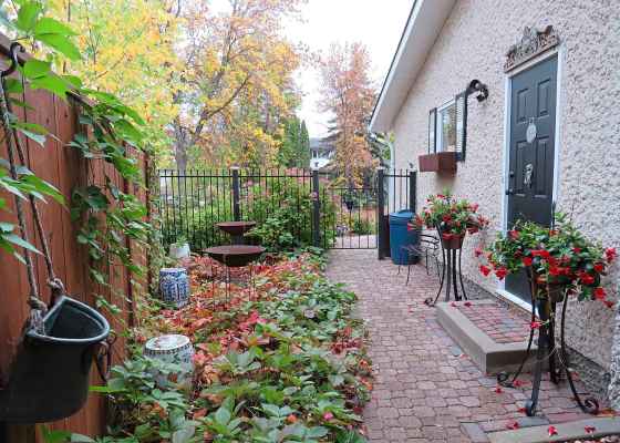 Plans for a side garden makeover (Colleen Zacharias)