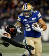 Dominant D, awesome Oliveira lash Lions