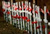 Crosses adorned with poppy flowers and Canadian flags are shown at the Field of Crosses in Calgary, Tuesday, Nov. 7, 2023.THE CANADIAN PRESS/Jeff McIntosh