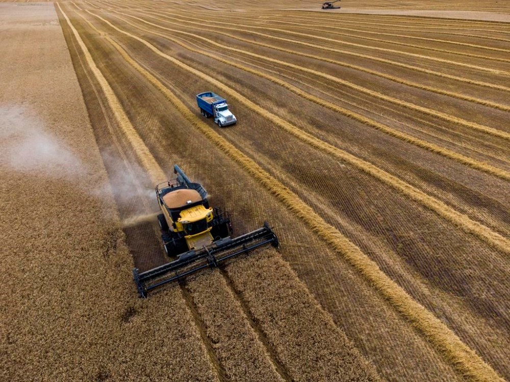 A Conservative private member's bill to exempt more fuel used by farmers from the carbon price is stirring up intense lobbying efforts in the Senate and leaving the Liberals on the verge of being forced to carve up their signature climate policy even more. The Reid family harvest their wheat crop near Cremona, Alta., Tuesday, Sept. 19, 2023. THE CANADIAN PRESS/Jeff McIntosh