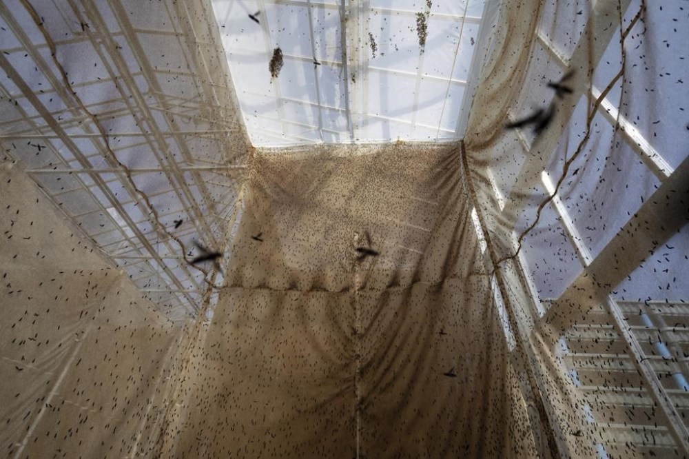 Demand for seafood is soaring, but oceans are giving up all they can. Can  we farm fish in new ways?  Winnipeg Free Press