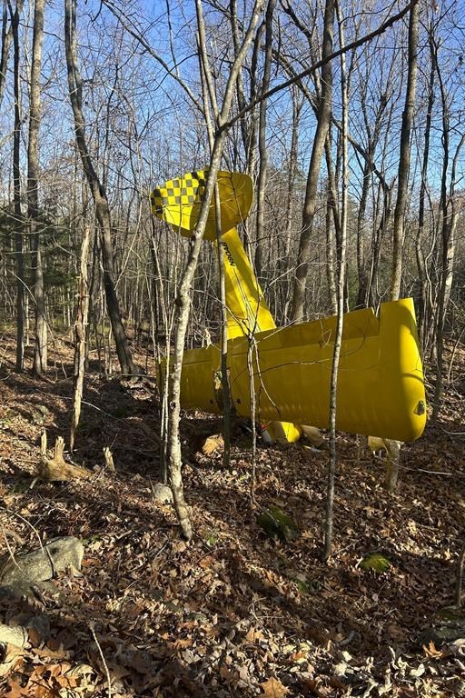 Pilot suffers minor injuries in small plane crash in southern Maine