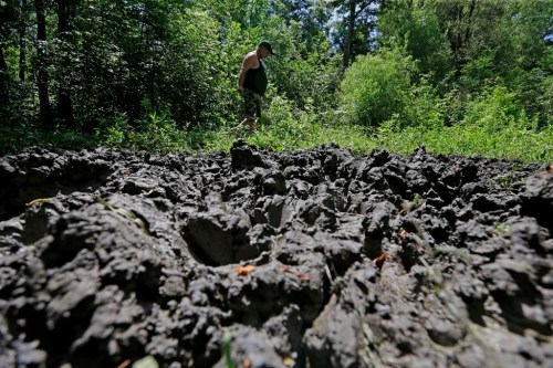 FILE - In this June 17, 2014, file photo, a wildlife trapper, walks past damage from feral hogs that happened overnight while foraging near one of his traps in New Orleans. An exploding population of hard-to-eradicate “super pigs” in Canada is threatening to spill south of the border, and northern states like Minnesota, North Dakota, Montana are taking steps to stop the invasion. (AP Photo/Gerald Herbert, File)