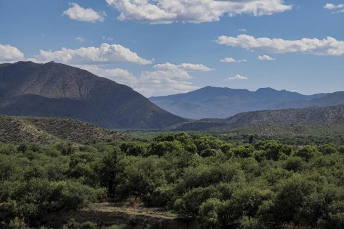 This image provided by the Center for Biological Diversity shows a portion of the San Pedro Valley near Benson, Ariz., Oct. 11, 2023. The tractors are back at work clearing land and building access roads for a $10 billion transmission line that the Biden administration describes as an important part of the nation’s transition to renewable energy. But Native American leaders have vowed to keep pushing the federal government to heed concerns about the project cutting through a cultural significant valley in southern Arizona. (Robin Silver/Center for Biological Diversity via AP)