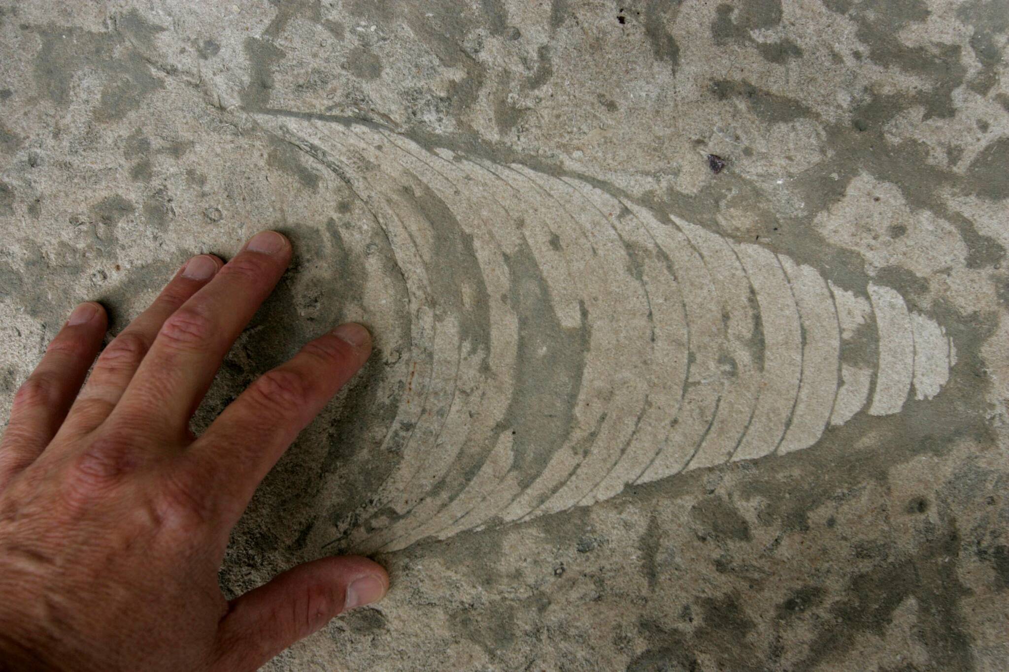 Give Manitoba Tyndall stone its due, Tory MLA says Winnipeg Free Press