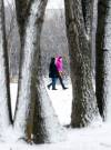 JOHN WOODS / WINNIPEG FREE PRESS
                                People walk in Elzear-Goulet Memorial Park Sunday. Based on the extended forecast, which is currently looking ahead to Dec. 16, Environment Canada meteorologist Rose Carlsen said to expect temperatures dip early in the week before rising again around Thursday, when the high is estimated to be around 3 C.