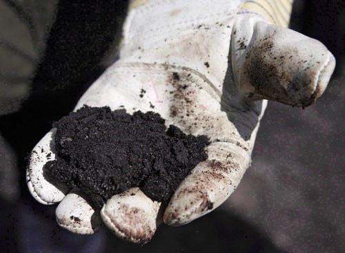 An oil worker holds raw oilsands near Fort McMurray, Alta., on July 9, 2008. Alberta university researchers are calling for an open public inquiry into a provincial program designed to ensure oilsands producers can pay to clean up after themselves. THE CANADIAN PRESS/Jeff McIntosh
