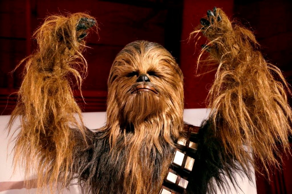 A costume of the wookiee Chewbacca is displayed in an exhibit on the costumes of Star Wars at Seattle’s EMP Museum. (Elaine Thompson / The Canadian Press / The Associated Press files)