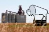 A looming strike action for Saskatchewan workers at Viterra has been suspended after the grain marketing giant gave the union a revised offer. A Viterra grain storage facility is shown Aug. 30, 2007 near Regina, Sask.THE CANADIAN PRESS/Troy Fleece