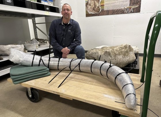 North Dakota Geologic Survey Paleontologist Jeff Person sits behind a 7-foot mammoth tusk in December at the Geologic Survey office in Bismarck, N.D. (Jack Dura / The Associated Press files)