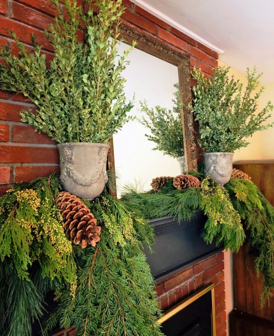 Keep your fresh holiday greenery hydrated. (Sharlene Nielsen photo)