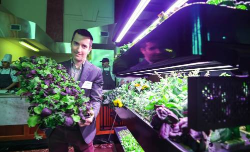 RUTH BONNEVILLE / WINNIPEG FREE PRESS
Andrew Vickerson CEO Les Verts Living, holds a tray of fresh greens grown in Les Verts Living, an innovative Terrace Pro hydroponic growing system.