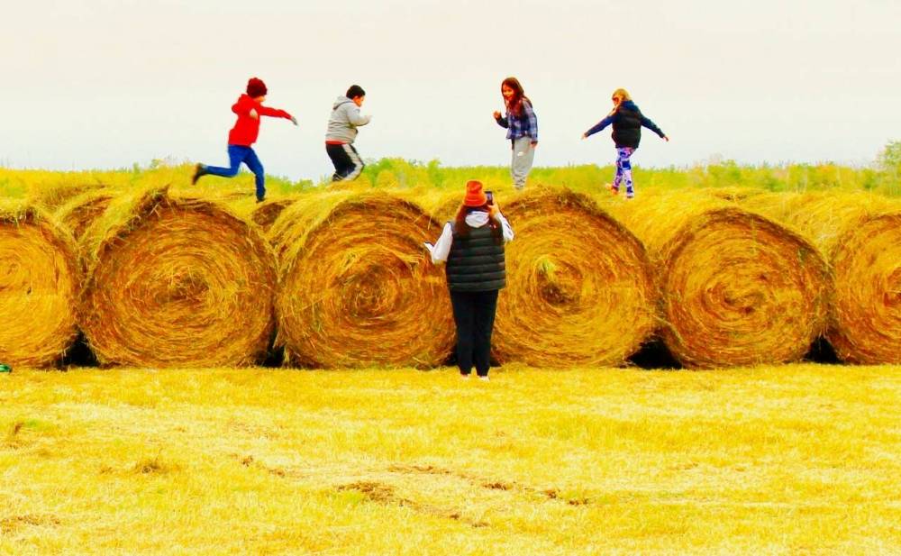 Let the games begin Winnipeg Free Press