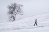 A pedestrian makes their way through wind and sleet in Halifax, Wednesday, Jan. 10, 2024. Wind and rainfall warnings are in place for much of Nova Scotia following the snow that fell overnight. THE CANADIAN PRESS/Darren Calabrese