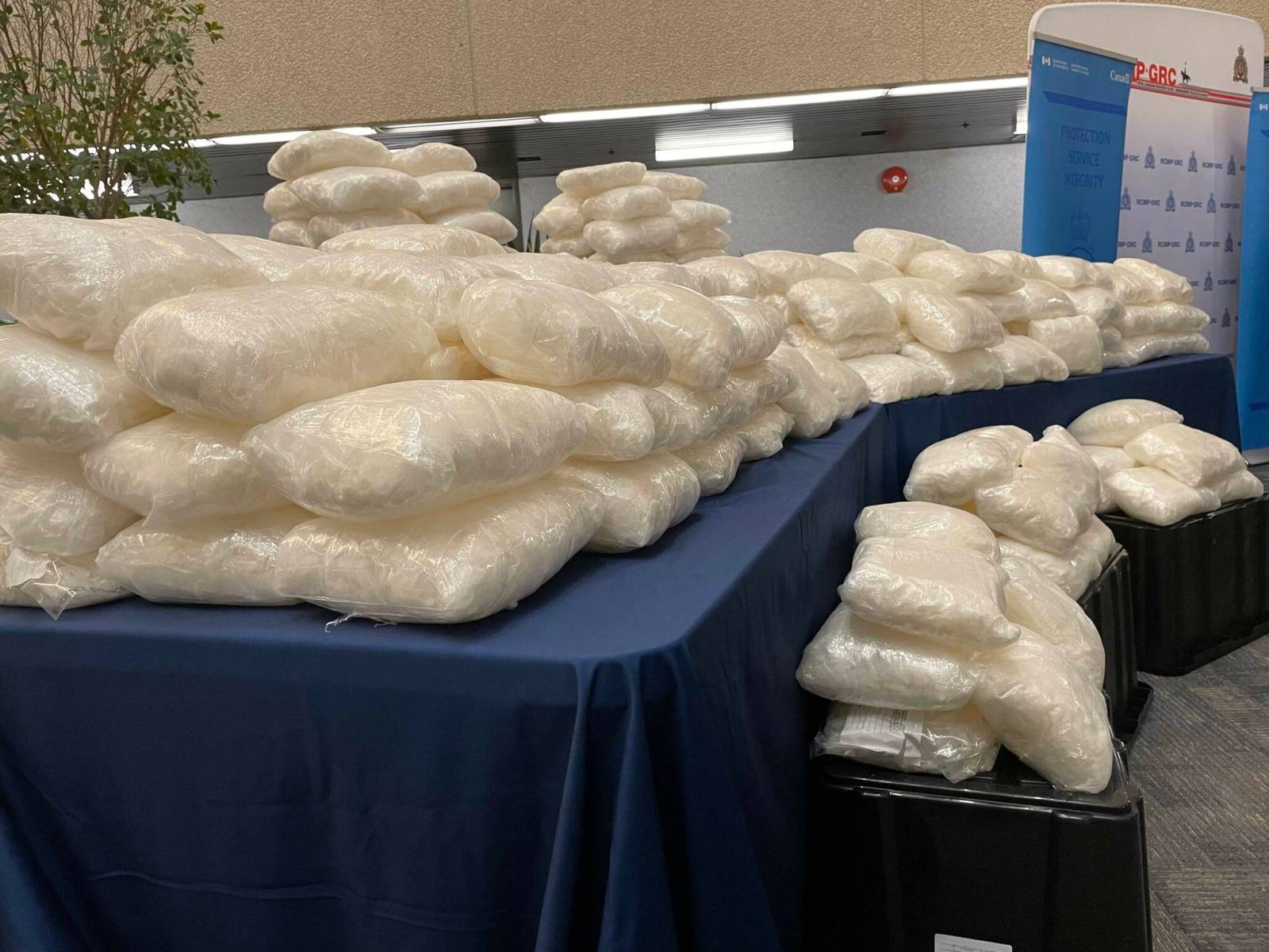 Record drug bust at border – Winnipeg Free Press