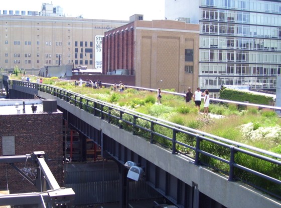 The High Line in New York, designed by Piet Oudolf. (Beyond My Ken_Wikimedia Commons)